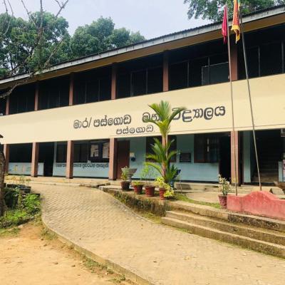 විශේෂ අවස්ථා